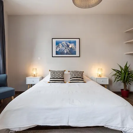 아파트 Modern Hypercenter 3br + View 180° 샤모니